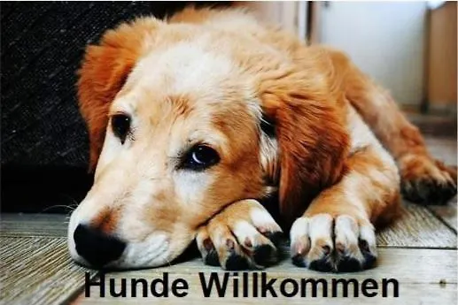 Altstadt- Und Businesshotel Pfaubraeu - Brauereigasthof - Fruehstuecksbuffet - Kostenfreie Radgarage - Hunde Willkommen Hotel Trostberg an der Alz