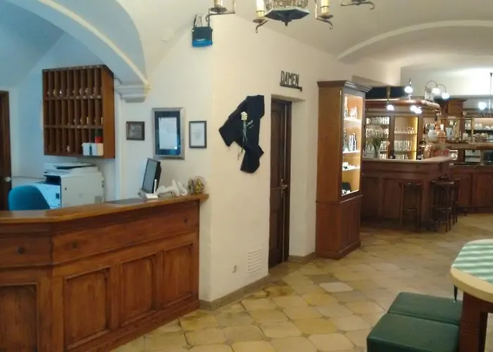 Hotel Altstadt- Und Businesshotel Pfaubraeu - Brauereigasthof - Fruehstuecksbuffet - Kostenfreie Radgarage - Hunde Willkommen